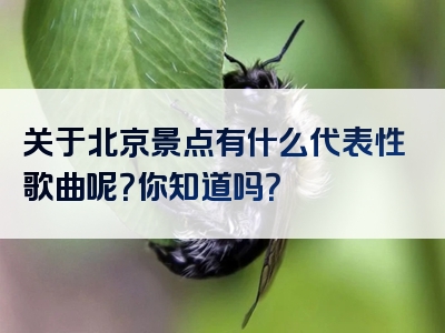 关于北京景点有什么代表性歌曲呢？你知道吗？