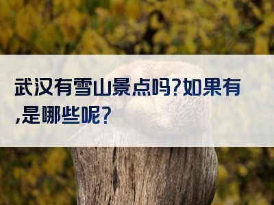 武汉有雪山景点吗？如果有，是哪些呢？
