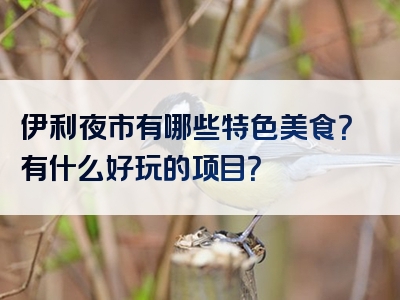 伊利夜市有哪些特色美食？有什么好玩的项目？
