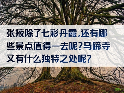 张掖除了七彩丹霞，还有哪些景点值得一去呢？马蹄寺又有什么独特之处呢？
