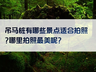 吊马桩有哪些景点适合拍照？哪里拍照最美呢？
