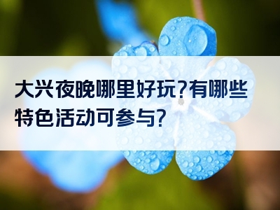 大兴夜晚哪里好玩？有哪些特色活动可参与？