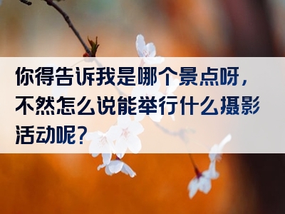 你得告诉我是哪个景点呀，不然怎么说能举行什么摄影活动呢？