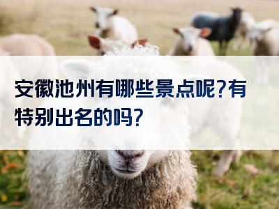 安徽池州有哪些景点呢？有特别出名的吗？