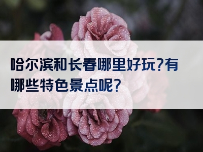 哈尔滨和长春哪里好玩？有哪些特色景点呢？