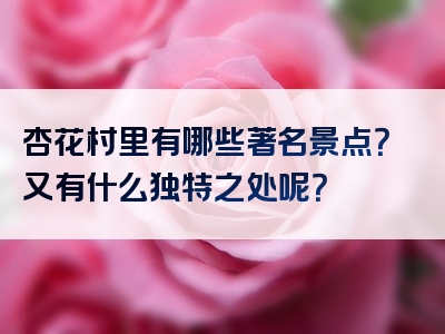 杏花村里有哪些著名景点？又有什么独特之处呢？