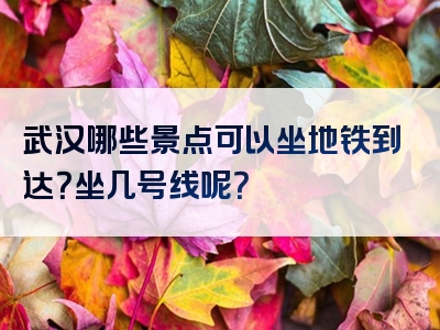 武汉哪些景点可以坐地铁到达？坐几号线呢？
