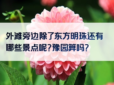 外滩旁边除了东方明珠还有哪些景点呢？豫园算吗？