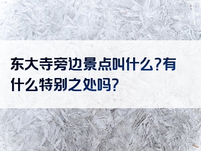 东大寺旁边景点叫什么？有什么特别之处吗？