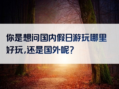 你是想问国内假日游玩哪里好玩，还是国外呢？