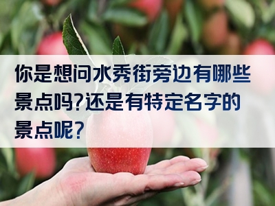 你是想问水秀街旁边有哪些景点吗？还是有特定名字的景点呢？
