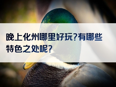晚上化州哪里好玩？有哪些特色之处呢？