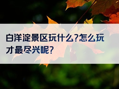 白洋淀景区玩什么？怎么玩才最尽兴呢？