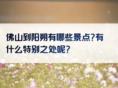 佛山到阳朔有哪些景点？有什么特别之处呢？