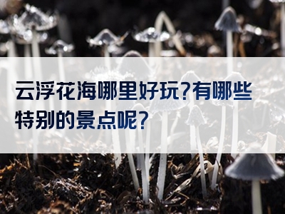云浮花海哪里好玩？有哪些特别的景点呢？