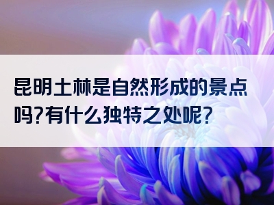 昆明土林是自然形成的景点吗？有什么独特之处呢？