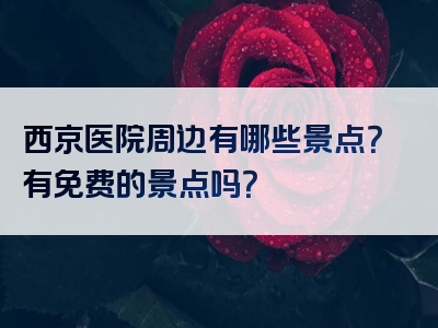 西京医院周边有哪些景点？有免费的景点吗？