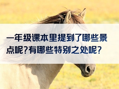 一年级课本里提到了哪些景点呢？有哪些特别之处呢？