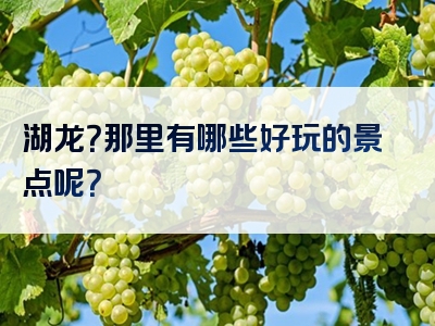 湖龙？那里有哪些好玩的景点呢？