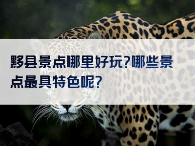 黟县景点哪里好玩？哪些景点最具特色呢？