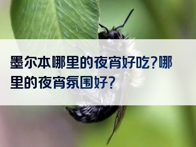 墨尔本哪里的夜宵好吃？哪里的夜宵氛围好？