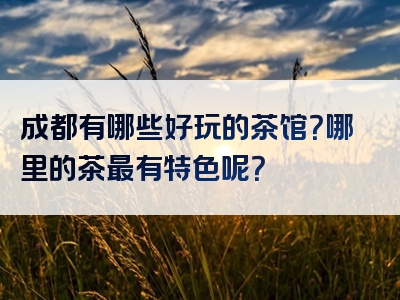 成都有哪些好玩的茶馆？哪里的茶最有特色呢？