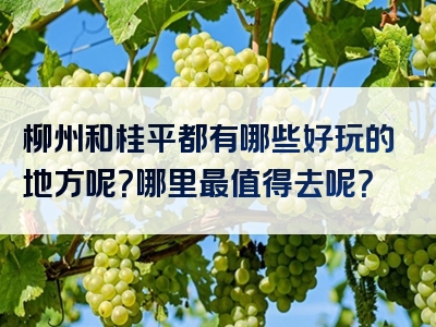 柳州和桂平都有哪些好玩的地方呢？哪里最值得去呢？