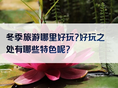 冬季旅游哪里好玩？好玩之处有哪些特色呢？