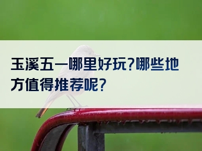 玉溪五一哪里好玩？哪些地方值得推荐呢？