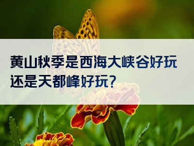 黄山秋季是西海大峡谷好玩还是天都峰好玩？