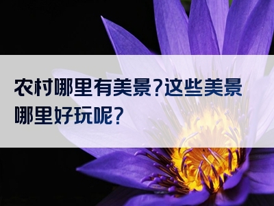 农村哪里有美景？这些美景哪里好玩呢？