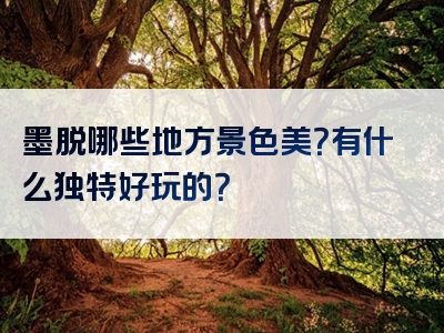墨脱哪些地方景色美？有什么独特好玩的？