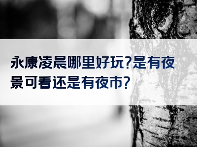 永康凌晨哪里好玩？是有夜景可看还是有夜市？