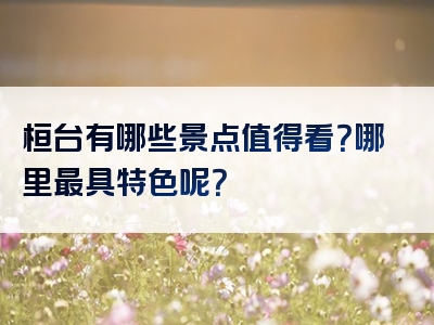 桓台有哪些景点值得看？哪里最具特色呢？