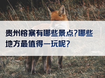 贵州榕寨有哪些景点？哪些地方最值得一玩呢？