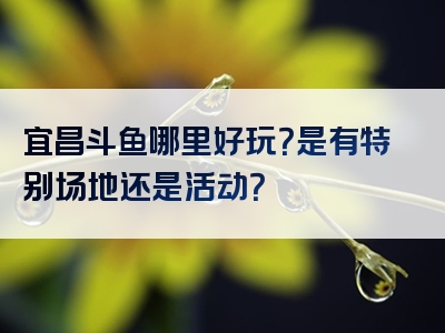 宜昌斗鱼哪里好玩？是有特别场地还是活动？