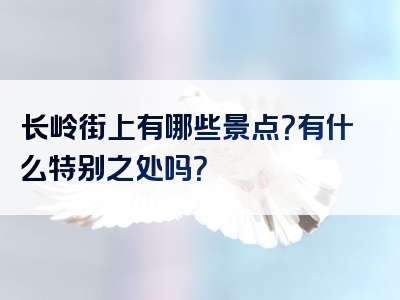长岭街上有哪些景点？有什么特别之处吗？