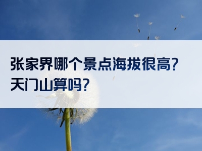 张家界哪个景点海拔很高？天门山算吗？