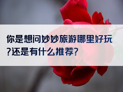 你是想问妙妙旅游哪里好玩？还是有什么推荐？