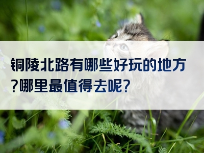 铜陵北路有哪些好玩的地方？哪里最值得去呢？