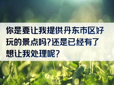 你是要让我提供丹东市区好玩的景点吗？还是已经有了想让我处理呢？