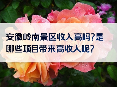 安徽岭南景区收入高吗？是哪些项目带来高收入呢？