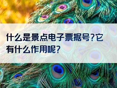 什么是景点电子票据号？它有什么作用呢？