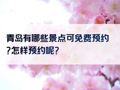 青岛有哪些景点可免费预约？怎样预约呢？
