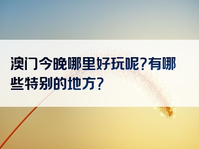 澳门今晚哪里好玩呢？有哪些特别的地方？