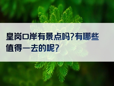 皇岗口岸有景点吗？有哪些值得一去的呢？