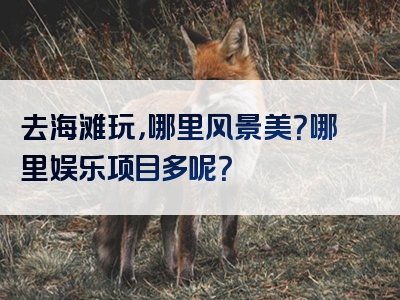 去海滩玩，哪里风景美？哪里娱乐项目多呢？