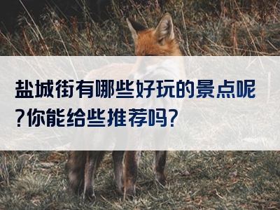 盐城街有哪些好玩的景点呢？你能给些推荐吗？