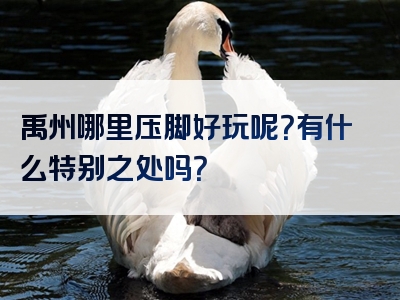 禹州哪里压脚好玩呢？有什么特别之处吗？