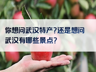 你想问武汉特产？还是想问武汉有哪些景点？